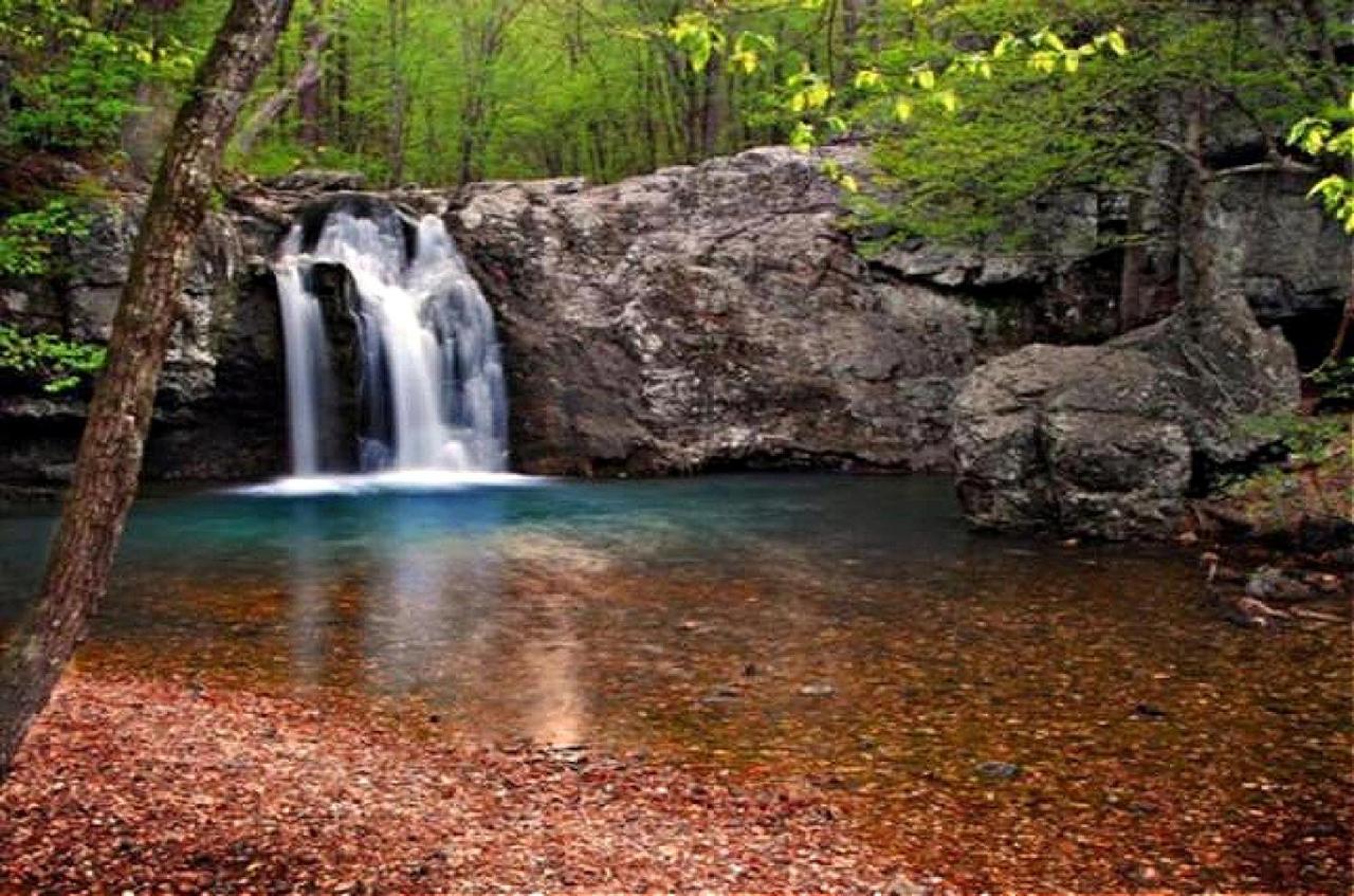 Secluded Home With Mini Waterfall And A Creek In 温泉城 外观 照片
